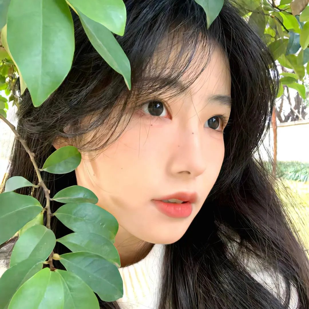 扭计大贼